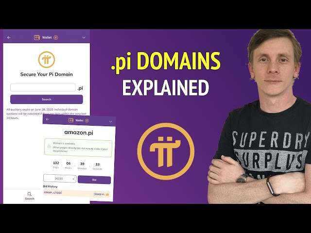 PI Domains Auctions- 알아야 할 모든 것 - 댓글 카오스 라이브 #85