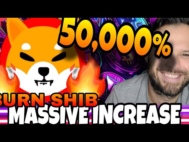Shiba Inu硬币| Shib看到烧伤大量增加！ 50,000％