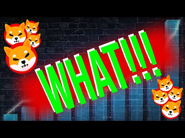 CHOQUANT!! Je viens de vendre tous mes jetons shib et voici pourquoi !! - Shiba Inu Coin News aujourd'hui