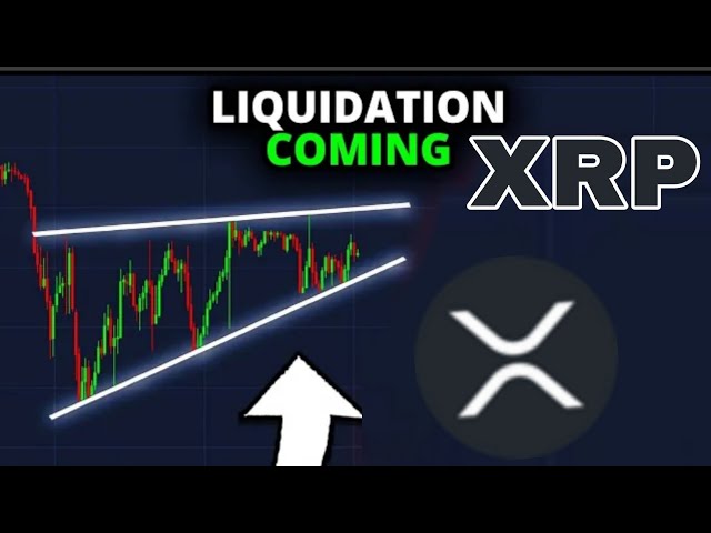 XRP硬币新闻今天！ XRP价格预测