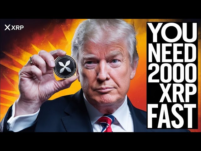 XRP는 우리 때문에 이더 리움을 능가합니다! 궁극적 인 암호화 대결