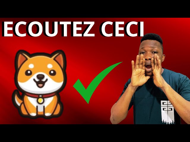 Baby Dogecoin: Wenn Sie Baby Doge Token haben, sehen Sie sich dieses Video jetzt an.