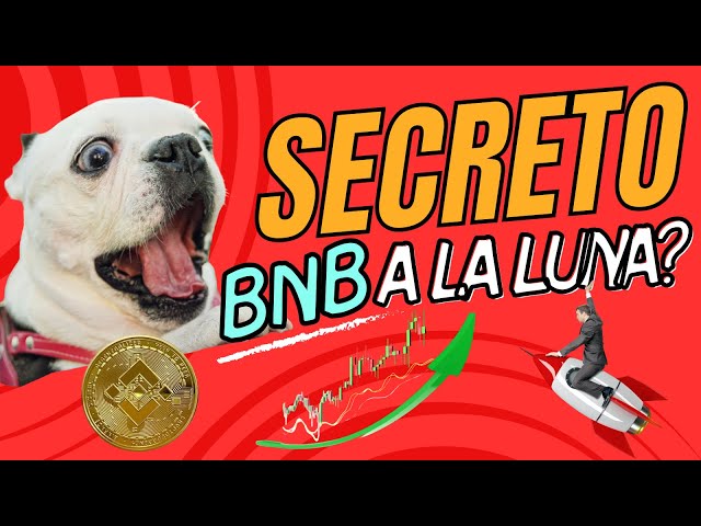 🔥 Das BNB -geheime Modell, das es zum Mond bringen könnte 🌕
