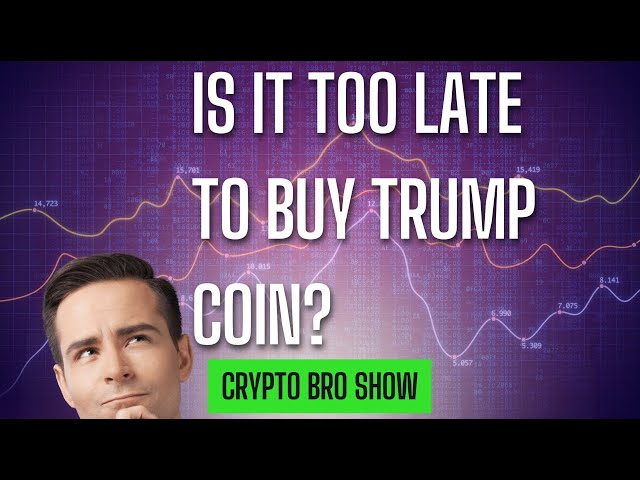 Est-il trop tard pour acheter Trump Coin? Pouvez-vous encore gagner de l'argent en échangeant Trump Coin? Crypto bro show