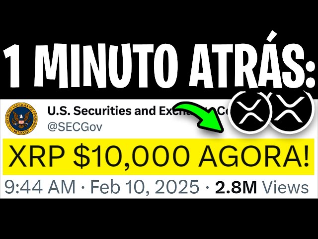 XRP Ripple: SEC accidentally leaks the price of XRP! (Fair value of $ 10,000 approved) - Ripple XRP