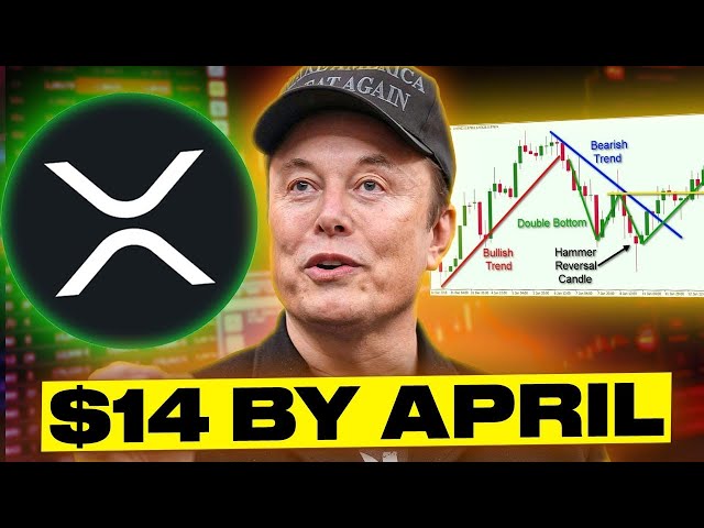 XRP Ripple: BlackRock gegen Sec! Nur Stunden links bis 110,69 US