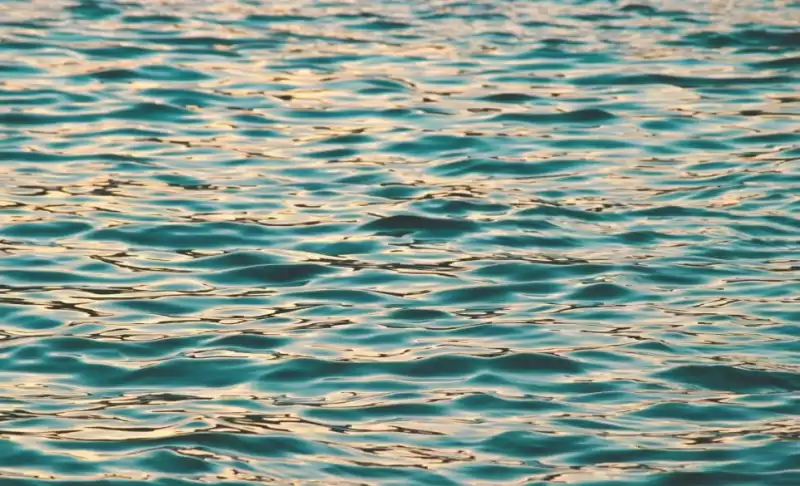 The Best Liquid Staking Platforms in 2025