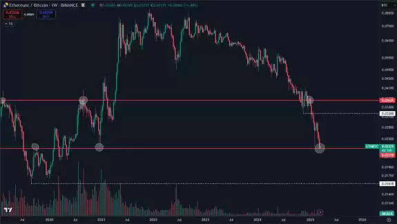 Daan Crypto Trades