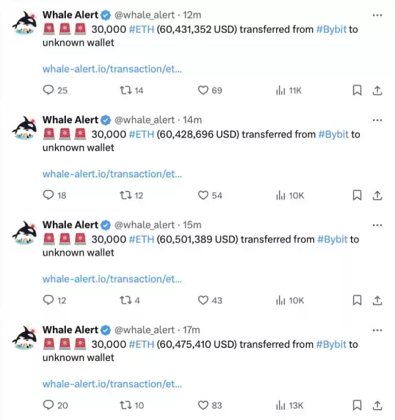 Crypto Rover