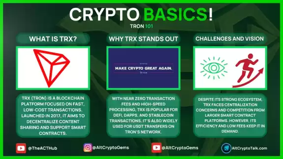 Sjuul | AltCryptoGems
