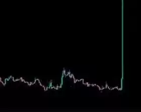 WSB Trader Rocko🚀🚀🚀