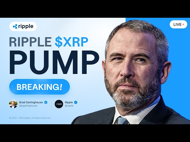 布拉德·加林豪斯（Brad Garlinghouse）：Ripple历史胜利！ XRP要去月球！ XRP价格预测
