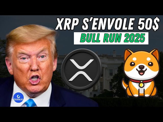 🔴加密XRP在Bull 2025上有50美元，而Baby Doge Coin乘飞机