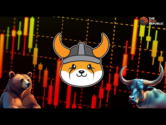Floki inu coin gratuit gagne