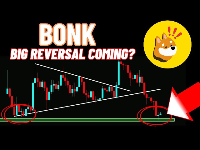 Une grande inversion de Bonk Coin arrive?