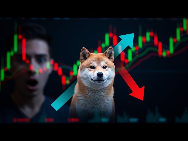 Where does Shib break the coin resistance? Where is the support if it is withdrawn?