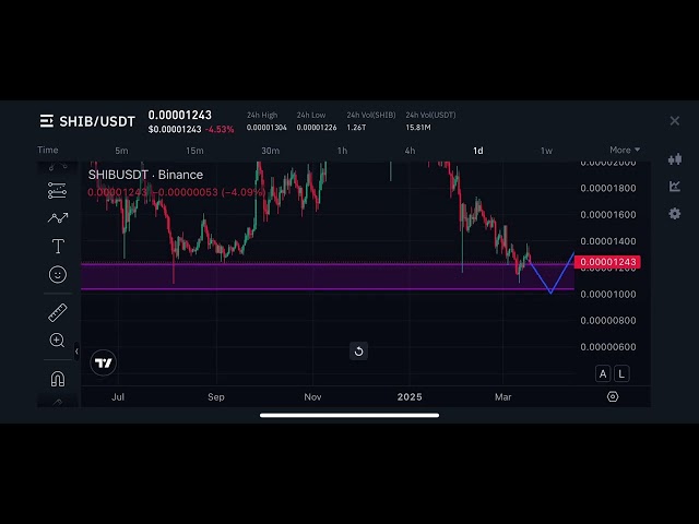 Shib inu coin next target #shortsfeed #crypto #binance