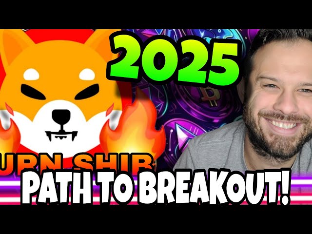 Shiba Inu硬币|湿透了2025年突破的路径！这是分析师的想法！