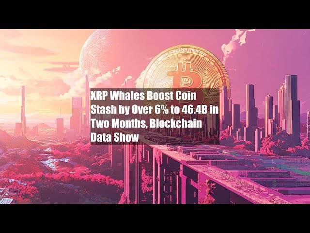 XRP鲸鱼在两个月内将硬币储备提高了6％至46.4B，区块链数据显示