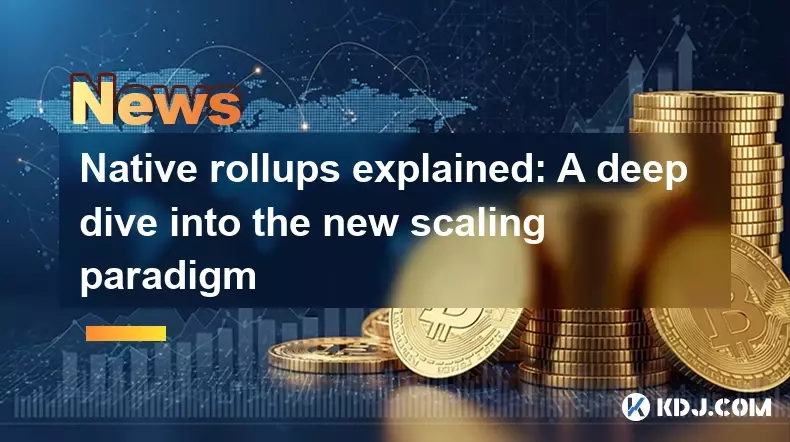 本地汇总解释了：深入研究新的缩放范式