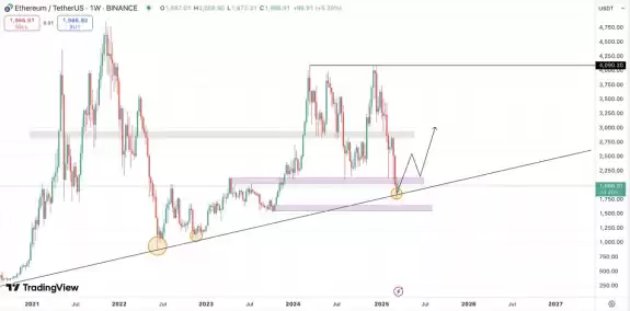 Crypto Fella