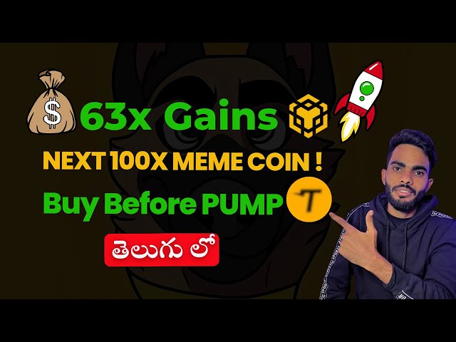 BNB模因硬幣泵70x！下一個大加密寶石接入？