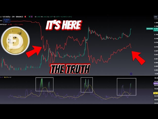 Dogecoin🚨可能底部🚨確認$ 1 Bullrun Pump，避免比特幣熊市崩潰！？ DOGE更新