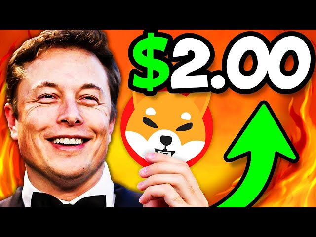 ELON MUSK SHOCKED SHIB ARMY WITH HIS NEW ANNOUNCEMENT!! - SHIBA INU NEWS