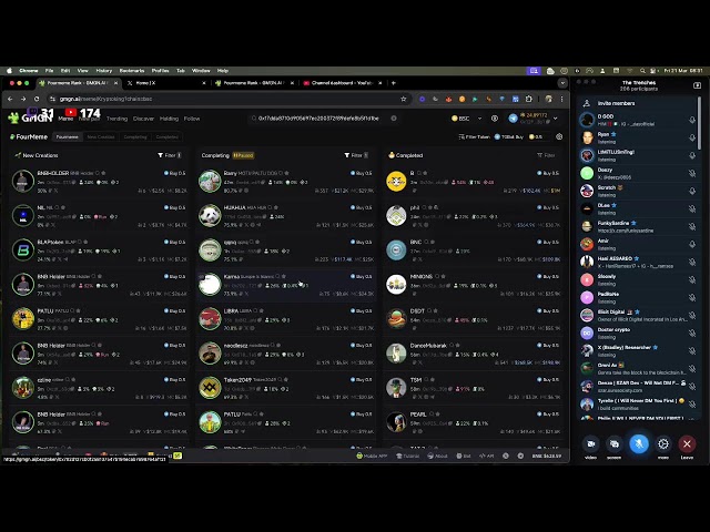 查找下一個100倍交易BNB Solana Meme Coins Live
