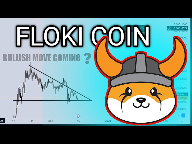 플로키 코인 가격 예측 및 기술 분석 3 월 21 일 | Floki 최신 뉴스 | 플로키