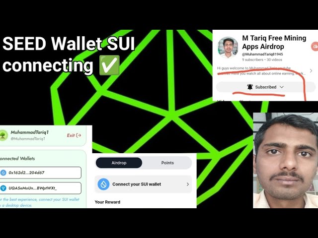 Seed Airdrop Sui Wallet Connect | Seed Sui Wallet Connect | Seed Airdrop New Update ✅