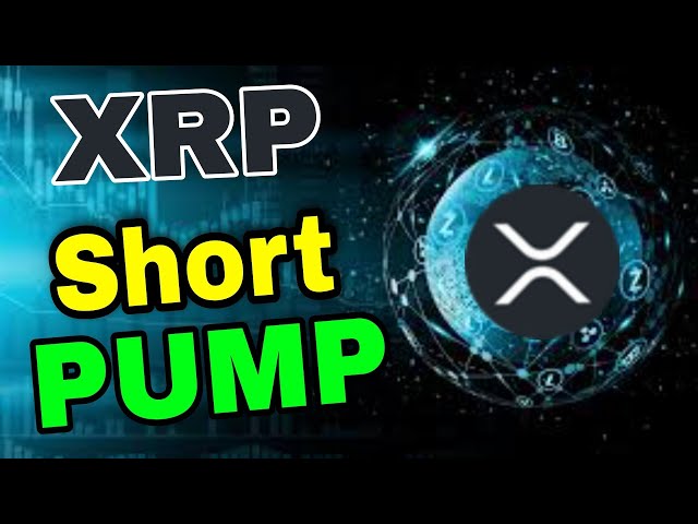 XRP Coin News heute! XRP -Preisvorhersage
