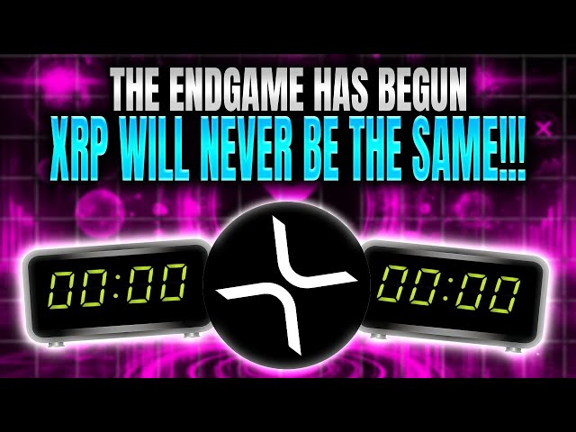 XRP Ripple CTO David Schwartz sagt 1 Million Dollar pro Token 7 Jahre !!!?