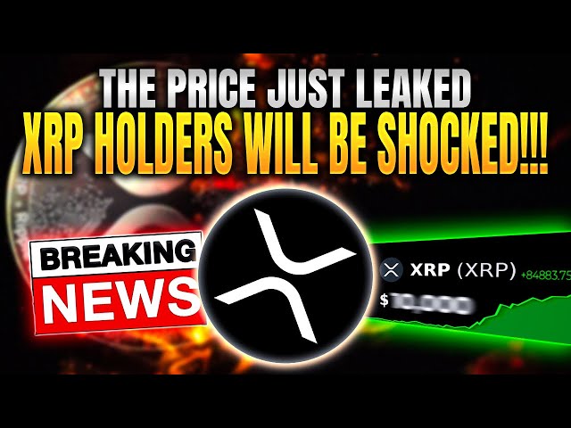 Le Livre blanc XRP Ripple prédit que le prix XRP est de 4 813 $