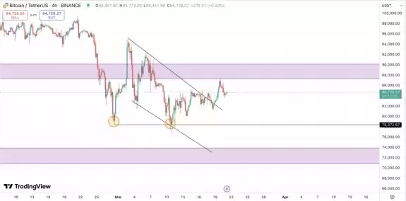 Crypto Fella