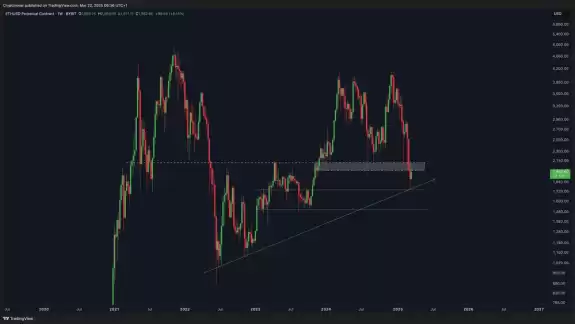 Crypto Rover
