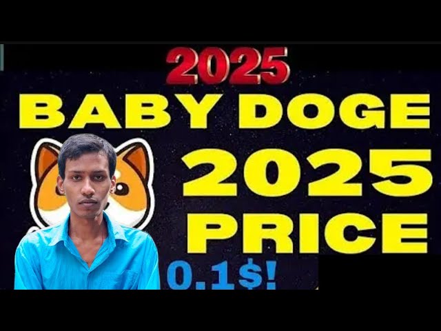 今天的小狗新聞今天|錢包來了Babydoge硬幣價格$ 0.1 | Binance清單