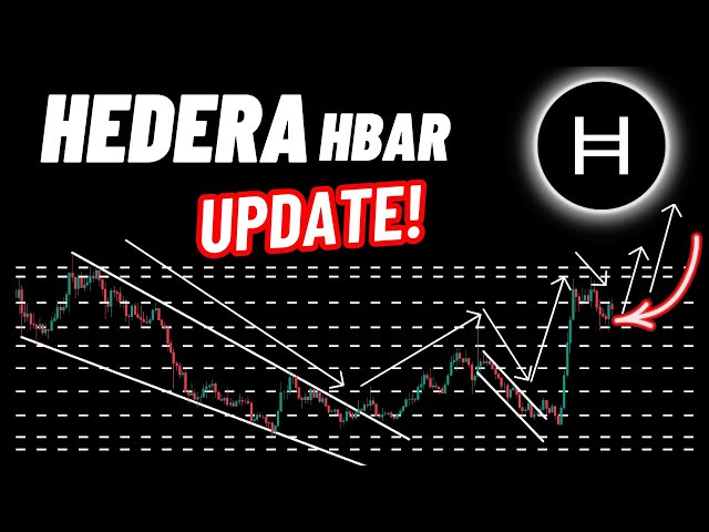 Heada (Hbar) Crypto Update!