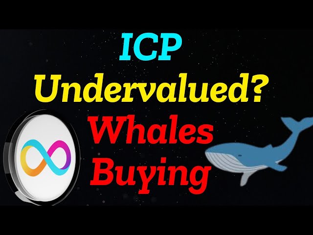 “ ICP是最被低估的区块链吗？鲸鱼活动，循环燃烧和未来的潜力解释”