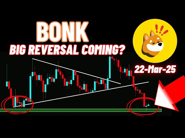 Bonk Coin的大逆转即将到来？
