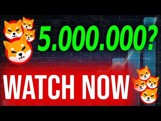 Shiba Inu News aujourd'hui: si vous détenez 5.000.000 Shib, vous devez voir cela !! - Prédiction des prix Shiba INU
