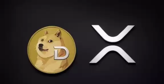 CEO