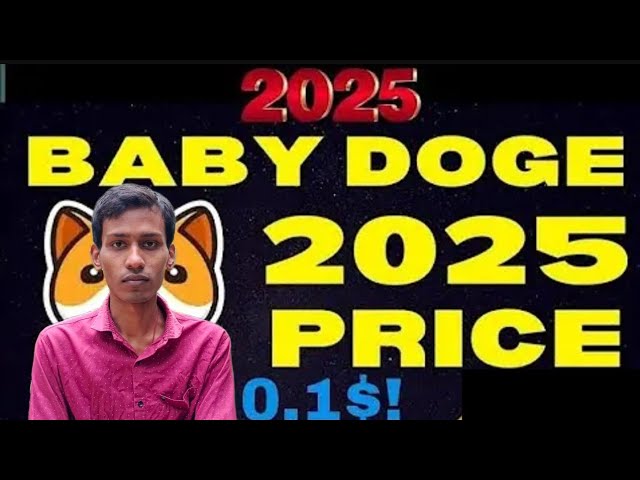 Baby DogEcoin $ 0.1 | Brennen | BABYDOGE MOIN PREISPUMPE | Binance -Auflistung