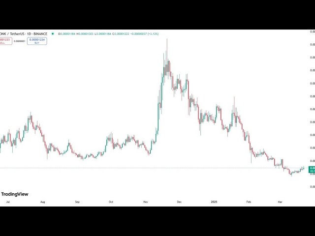 Bonk Traders Eye Bullish Rally After