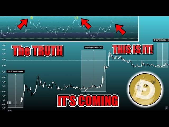 ⚠️Bottom信號閃爍！？⚠️為Dogecoin和Bitcoin？ $ 1 Doge Bullrun Pump降臨或熊市！？