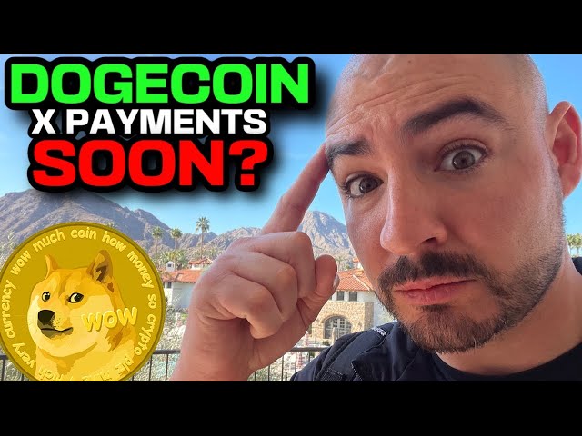 Doge Coin X付款（Elon的Dogecoin总体规划？）Doge价格预测