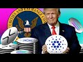 唐纳德·特朗普； XRP宣布左派和岛硬币投资者将获胜！
