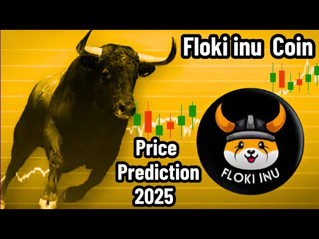Floki inuコイン価格予測2025 |将来の予測と分析