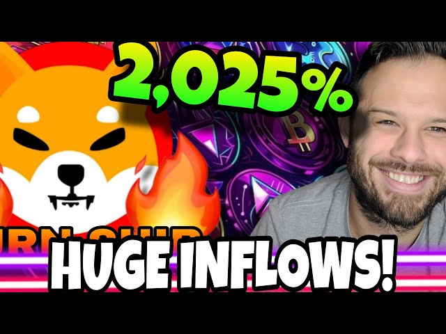 Shiba Inu Coin | Shib Flows en évolution 2025%! C'est extrêmement optimiste pour Shib!
