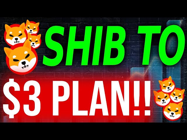 Shytoshi剛剛透露了Shiba Inu硬幣的7天計劃，以達到3美元！ -Shiba inu今天新聞
